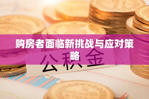 都兰购房者面临新挑战与应对策略