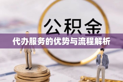 都兰代办服务的优势与流程解析