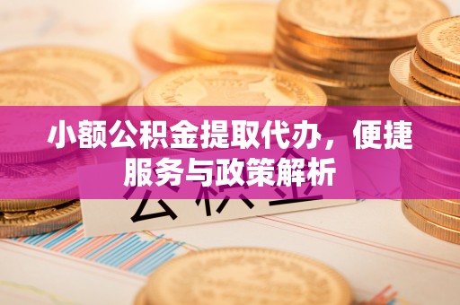 都兰小额公积金提取代办，便捷服务与政策解析