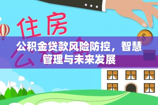 都兰公积金贷款风险防控，智慧管理与未来发展