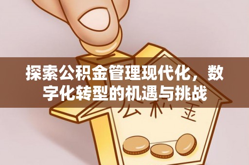 都兰探索公积金管理现代化，数字化转型的机遇与挑战