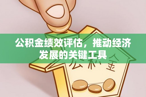 都兰公积金绩效评估，推动经济发展的关键工具