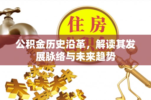 都兰公积金历史沿革，解读其发展脉络与未来趋势
