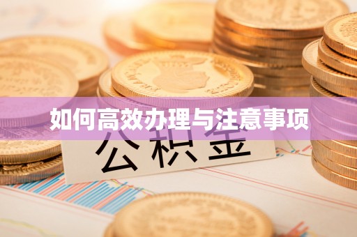 都兰如何高效办理与注意事项
