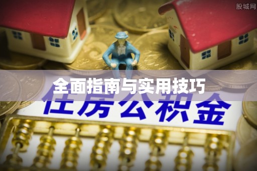 都兰全面指南与实用技巧