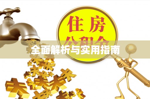 都兰全面解析与实用指南