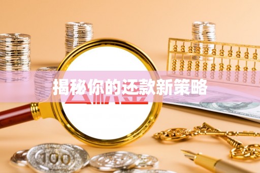都兰揭秘你的还款新策略