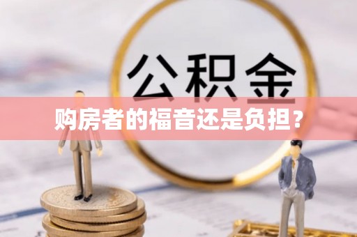 都兰购房者的福音还是负担？