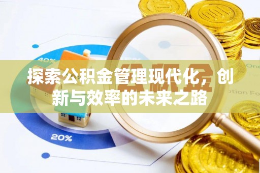 都兰探索公积金管理现代化，创新与效率的未来之路