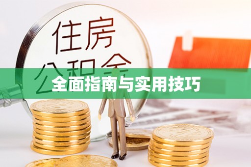都兰全面指南与实用技巧