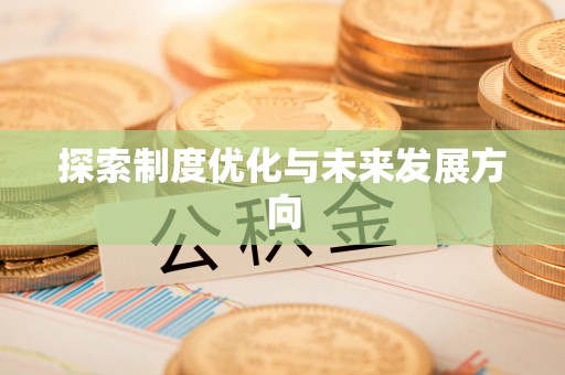 都兰探索制度优化与未来发展方向