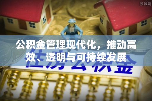 都兰公积金管理现代化，推动高效、透明与可持续发展