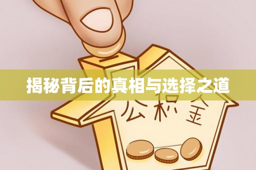 都兰揭秘背后的真相与选择之道