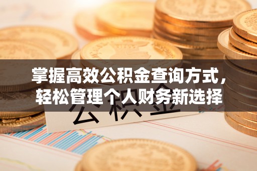 都兰掌握高效公积金查询方式，轻松管理个人财务新选择