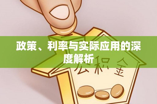 都兰政策、利率与实际应用的深度解析