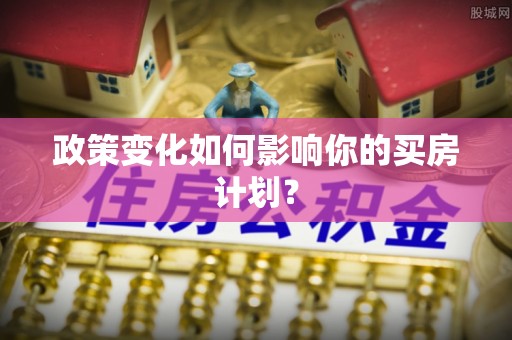 都兰政策变化如何影响你的买房计划？
