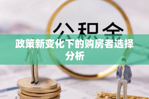 都兰政策新变化下的购房者选择分析