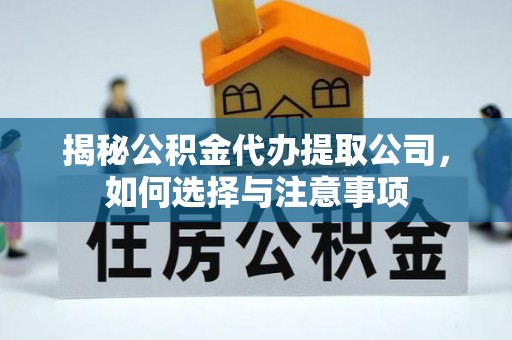 都兰揭秘公积金代办提取公司，如何选择与注意事项