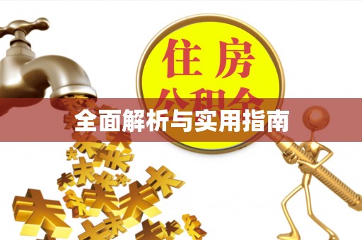 都兰全面解析与实用指南