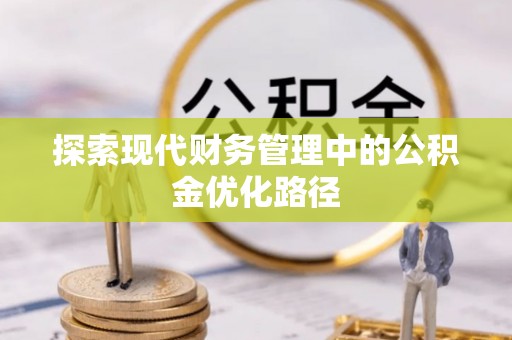 都兰探索现代财务管理中的公积金优化路径
