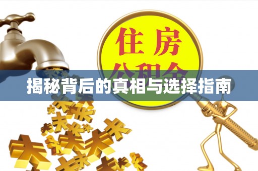 都兰揭秘背后的真相与选择指南