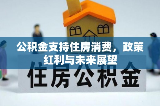 都兰公积金支持住房消费，政策红利与未来展望