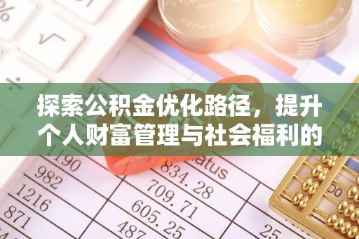 都兰探索公积金优化路径，提升个人财富管理与社会福利的双赢之道