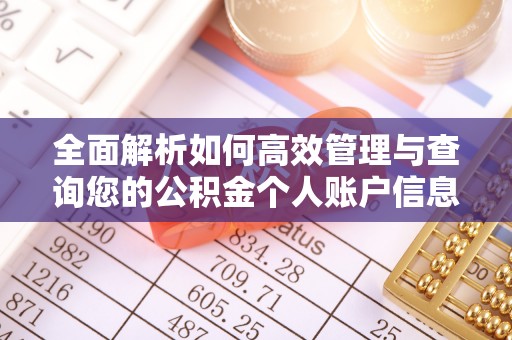 都兰全面解析如何高效管理与查询您的公积金个人账户信息