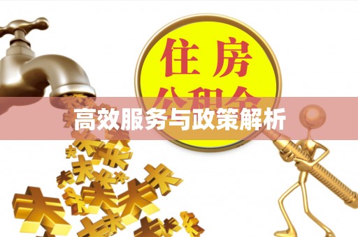 都兰高效服务与政策解析