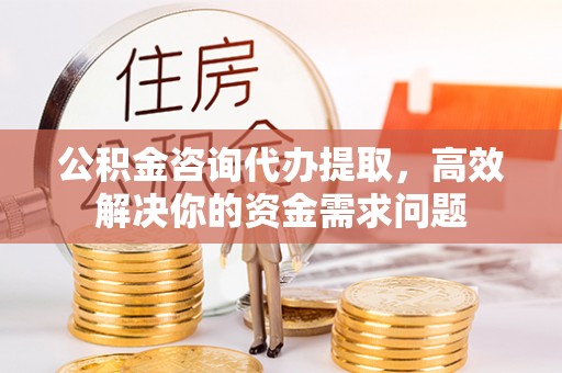 都兰公积金咨询代办提取，高效解决你的资金需求问题