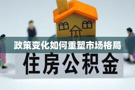 都兰政策变化如何重塑市场格局