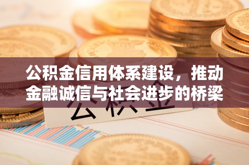 都兰公积金信用体系建设，推动金融诚信与社会进步的桥梁