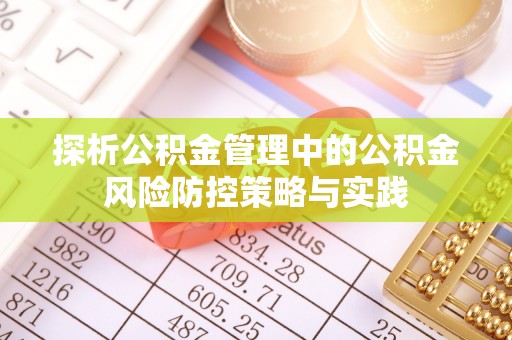 都兰探析公积金管理中的公积金风险防控策略与实践