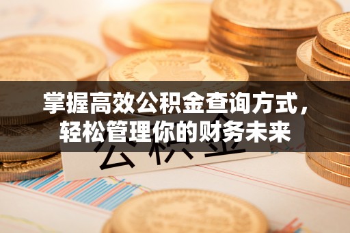 都兰掌握高效公积金查询方式，轻松管理你的财务未来