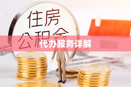 都兰代办服务详解