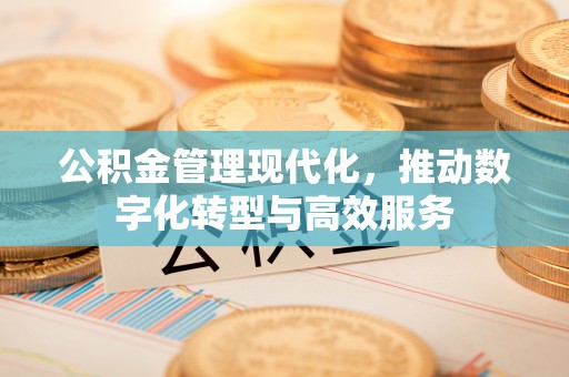 都兰公积金管理现代化，推动数字化转型与高效服务