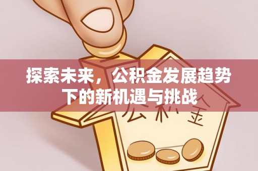 都兰探索未来，公积金发展趋势下的新机遇与挑战