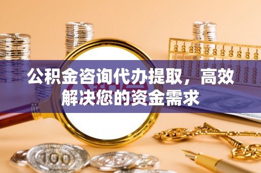 都兰公积金咨询代办提取，高效解决您的资金需求