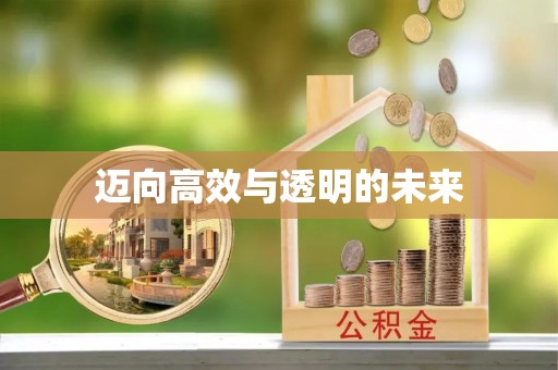 都兰迈向高效与透明的未来