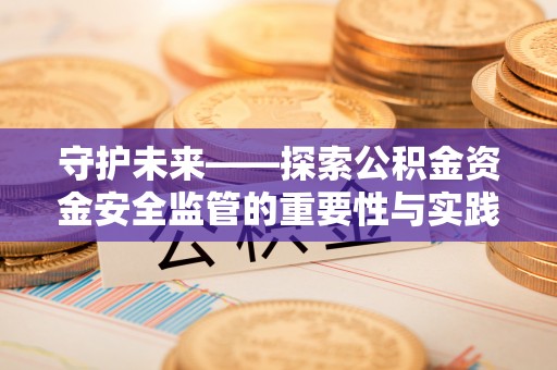 都兰守护未来——探索公积金资金安全监管的重要性与实践路径