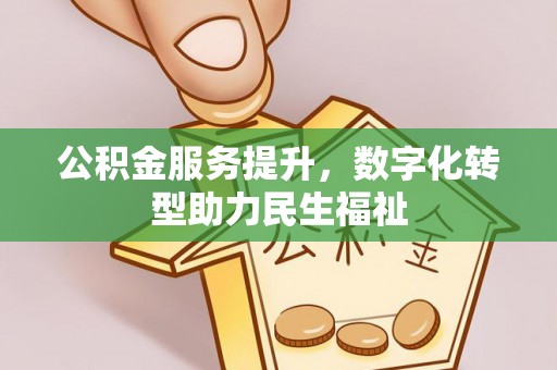 都兰公积金服务提升，数字化转型助力民生福祉