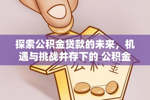 都兰探索公积金贷款的未来，机遇与挑战并存下的 公积金贷款风险防控