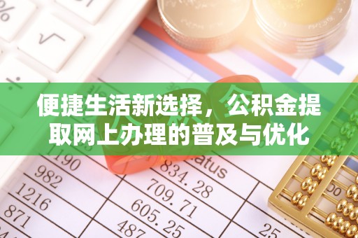 都兰便捷生活新选择，公积金提取网上办理的普及与优化
