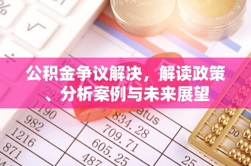 都兰公积金争议解决，解读政策、分析案例与未来展望