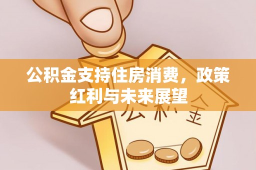 都兰公积金支持住房消费，政策红利与未来展望