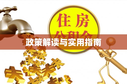 都兰政策解读与实用指南
