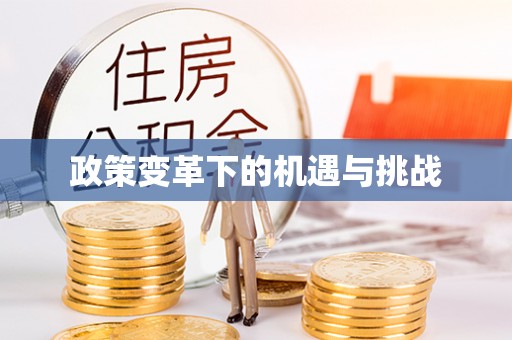 都兰政策变革下的机遇与挑战