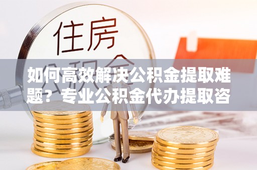 都兰如何高效解决公积金提取难题？专业公积金代办提取咨询服务来助力