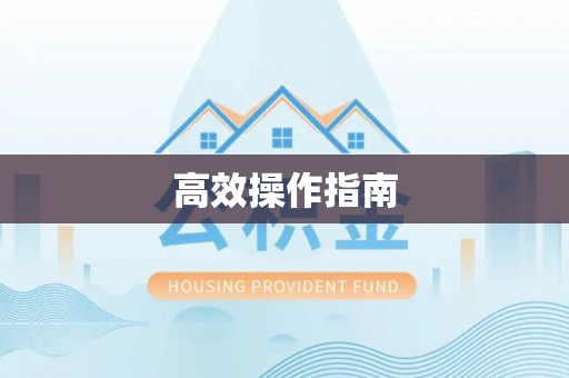 都兰高效操作指南
