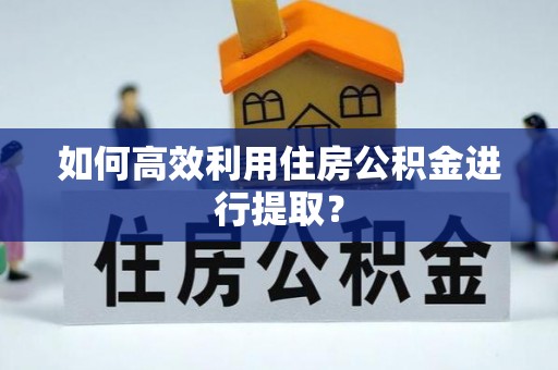 都兰如何高效利用住房公积金进行提取？